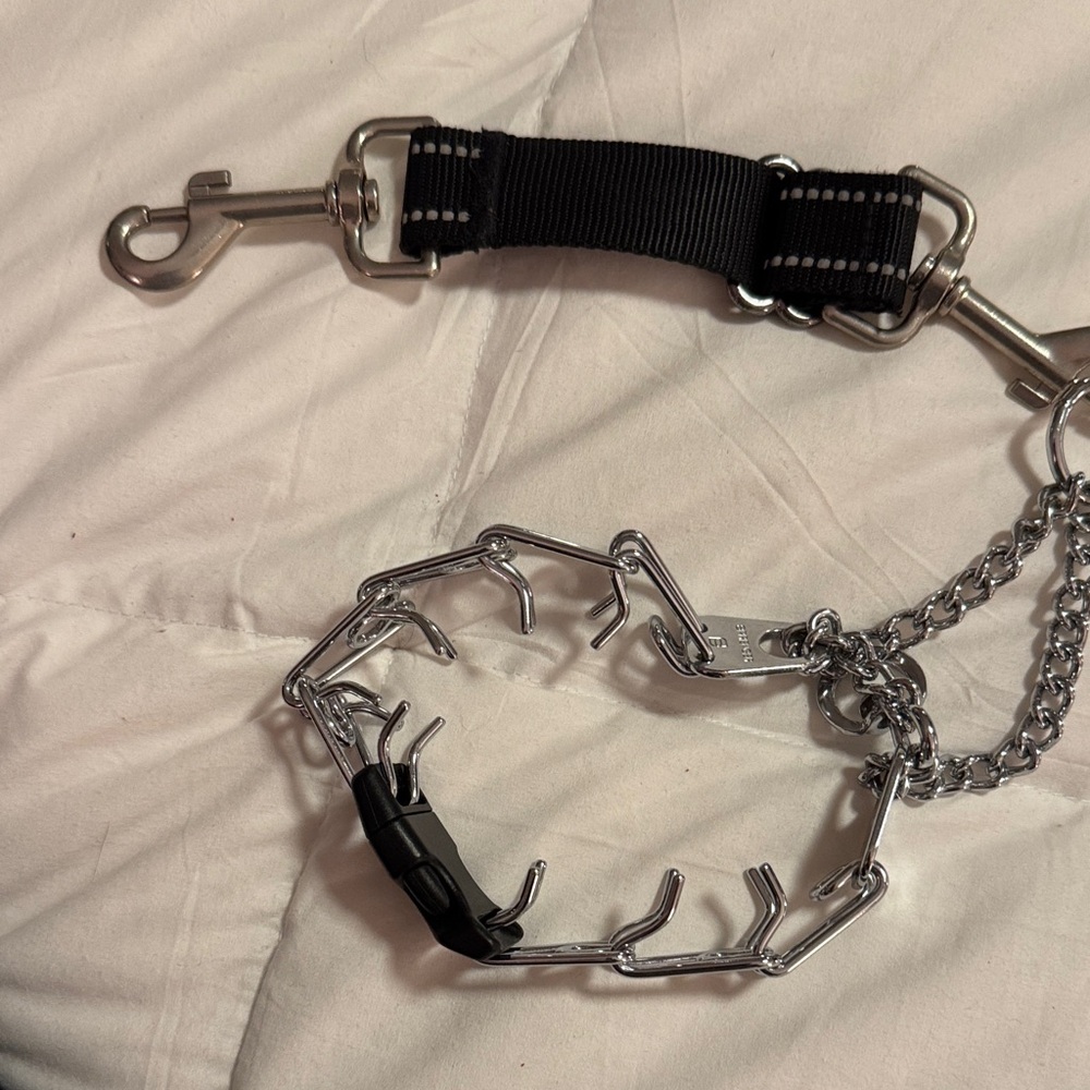 Stainless and Black Nylon Dog Training Collar